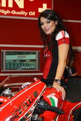 EICMA 313