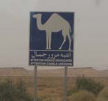 VACANZE IN TUNISIA
